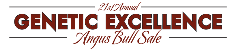 21st Annual Angus Bull Sale